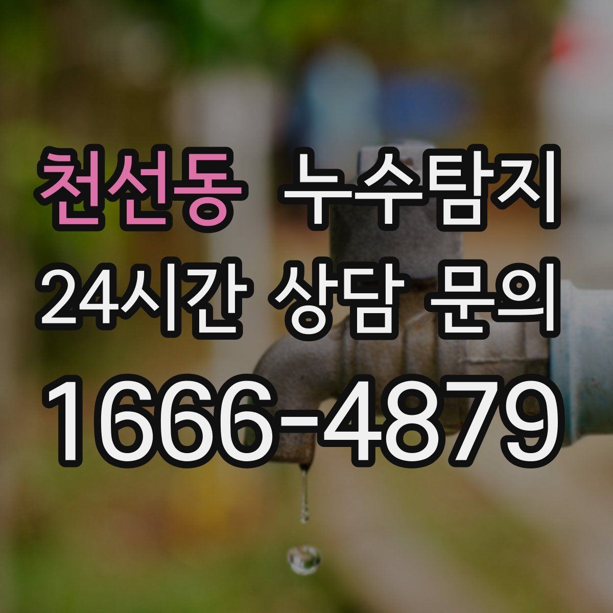 천선동 누수탐지 열화상 점검 받아보니 달라졌다