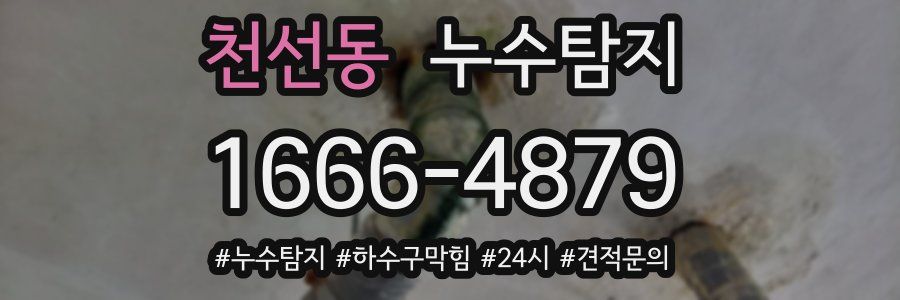 누수닥터 누수탐지