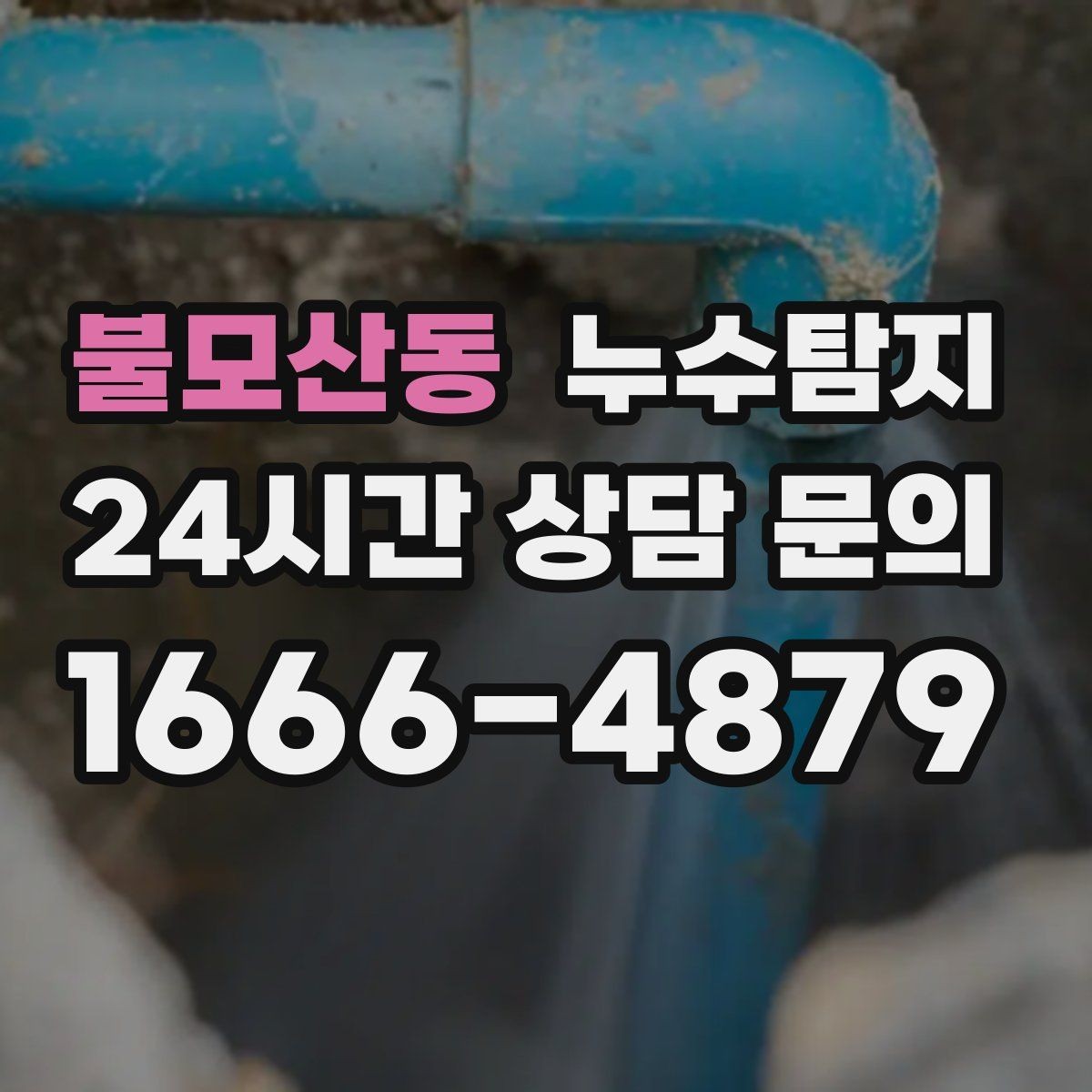 불모산동 누수탐지 배수구 역류와 악취 해결 노하우