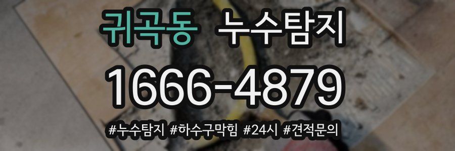 누수닥터 누수탐지