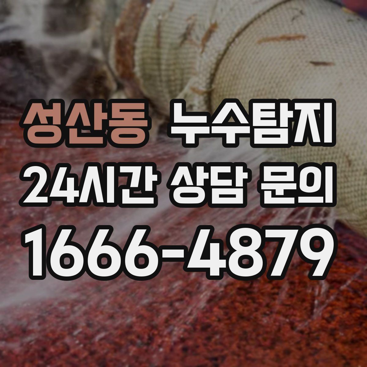 성산동 누수탐지 아이 방 곰팡이 원인 끝까지 추적