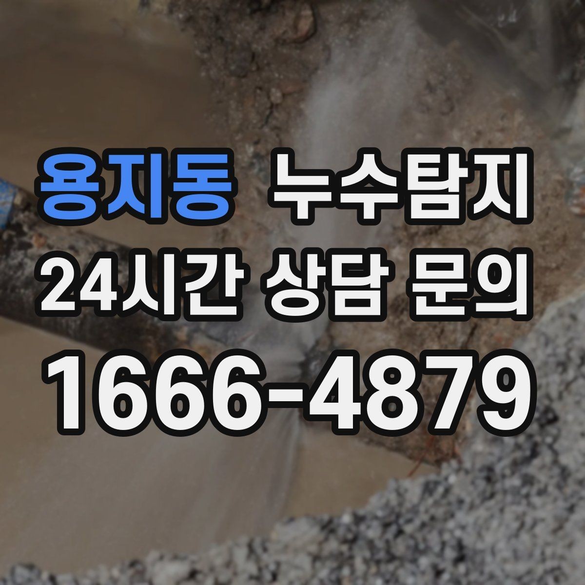 용지동 누수탐지 전문가와 함께한 현장 진단 이야기