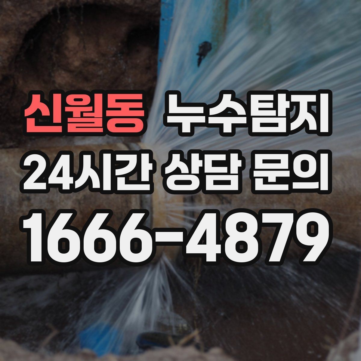신월동 누수탐지 새집인데 왜 물이 새는지 점검기
