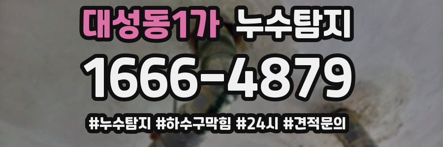 누수닥터 누수탐지