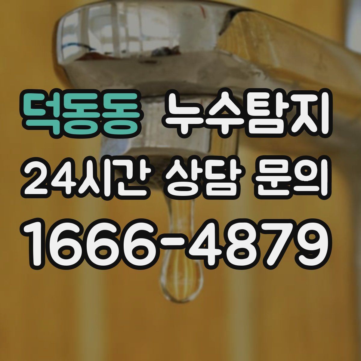 덕동동 누수탐지 배관 내시경 점검 제공