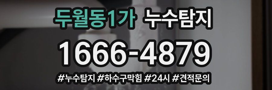 누수닥터 누수탐지