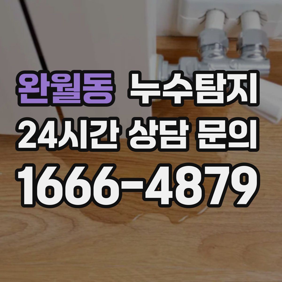 완월동 누수탐지 보일러실 온수관 점검