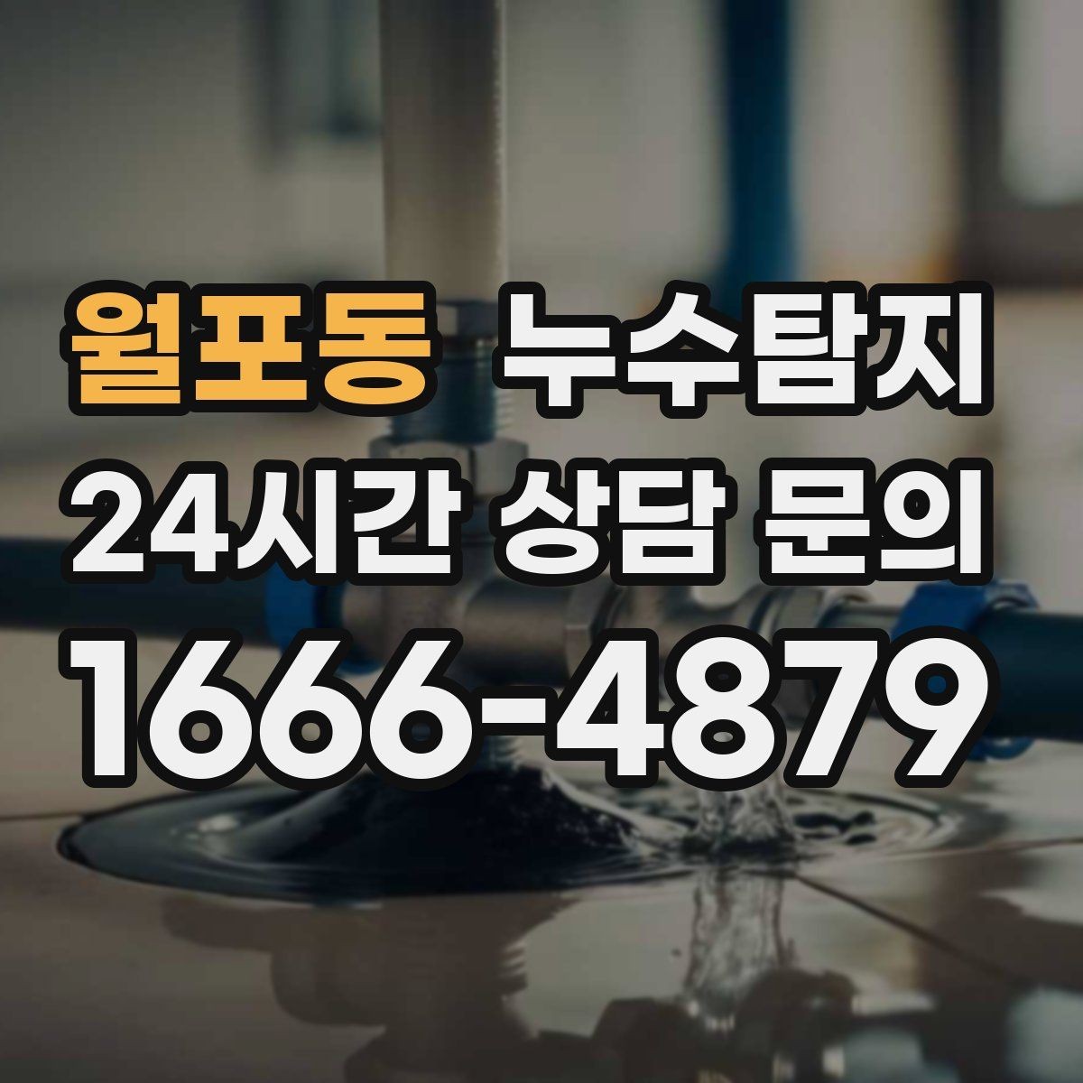월포동 누수탐지 가구 뒤 곰팡이 원인 파헤치기
