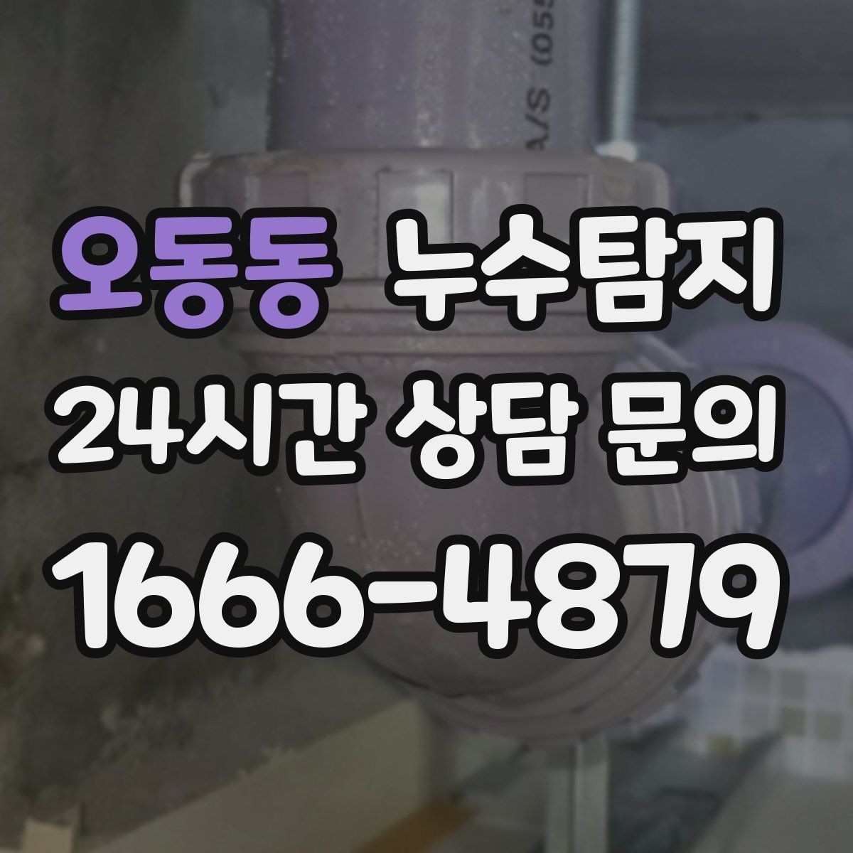 오동동 누수탐지 예약부터 복구까지 전 과정 케어