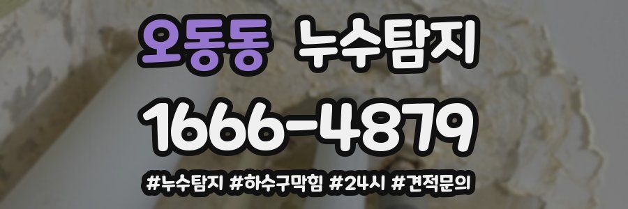 누수닥터 누수탐지