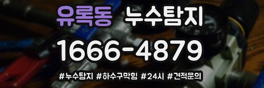 누수닥터 누수탐지