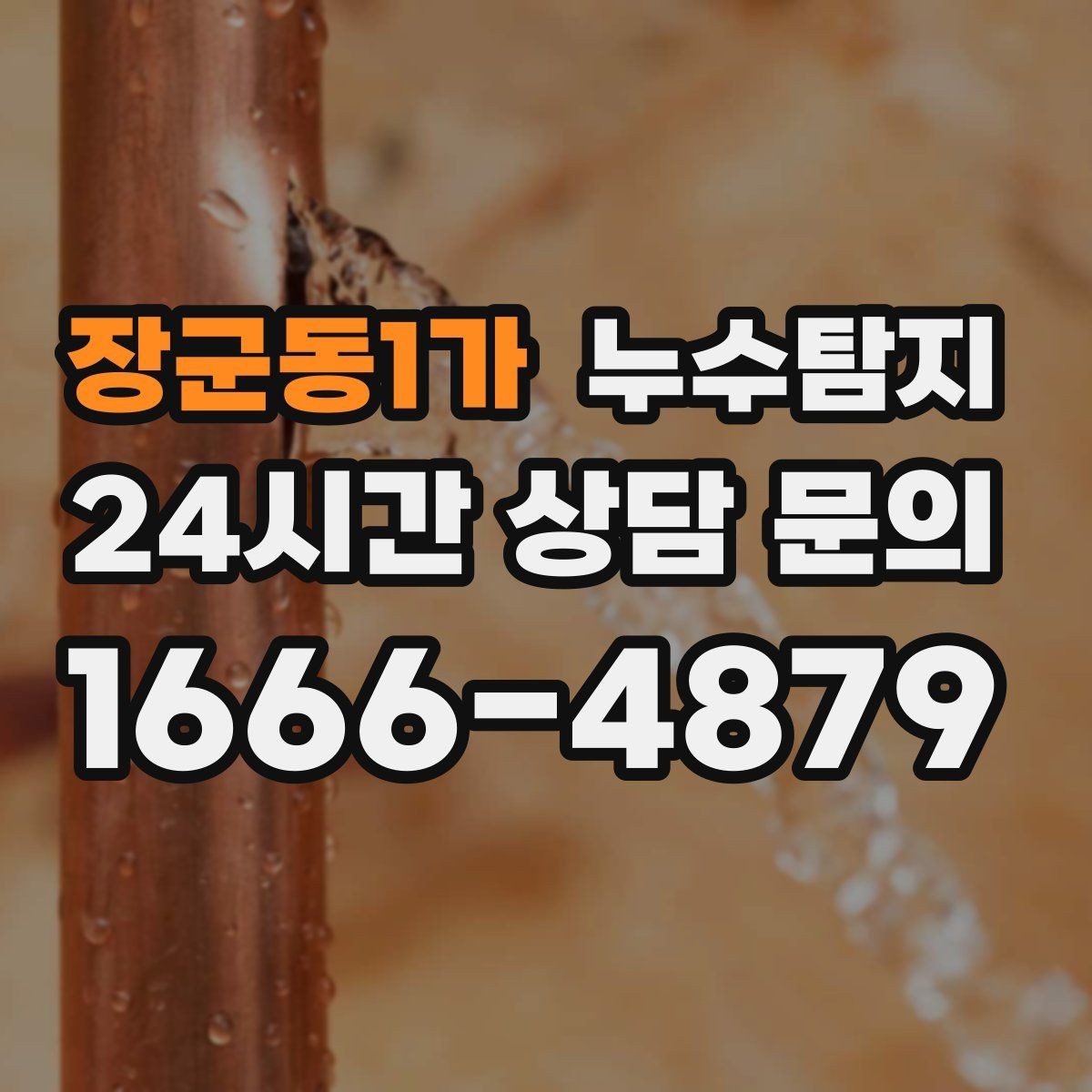 장군동1가 누수탐지 원인별 복구 공법 쉽고 빠른 이해
