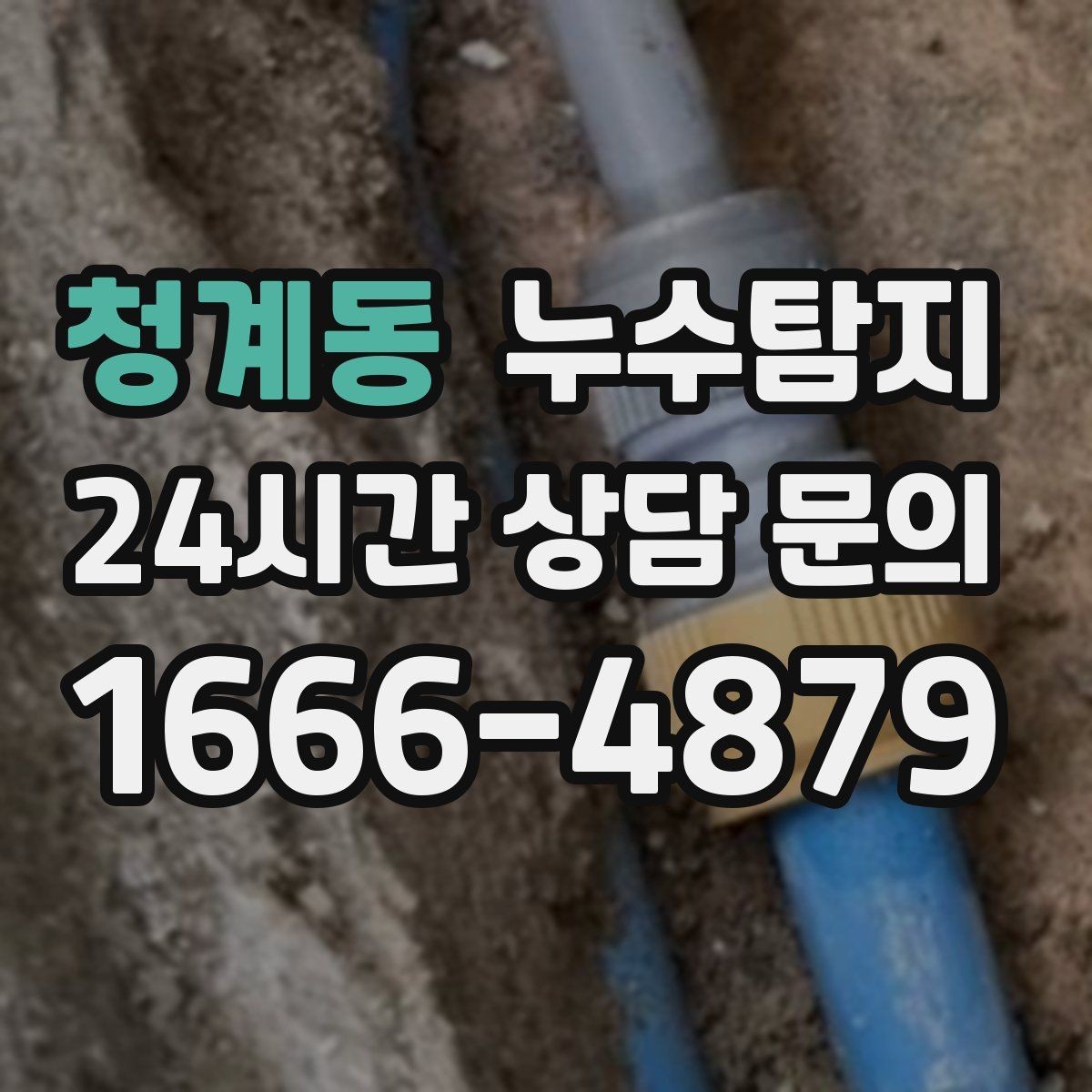 청계동 누수탐지 드레스룸 곰팡이 청결 회복
