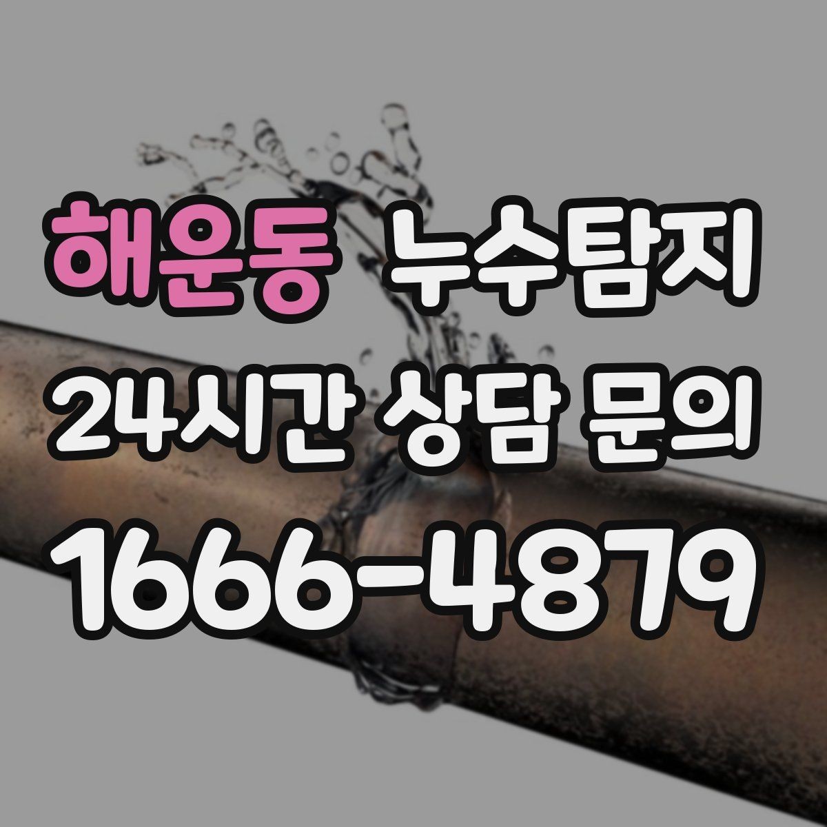 해운동 누수탐지 작은 물자국에서 시작된 대처 일지