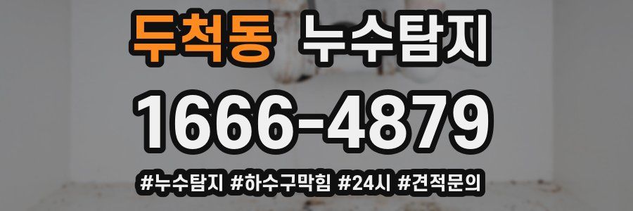 누수닥터 누수탐지