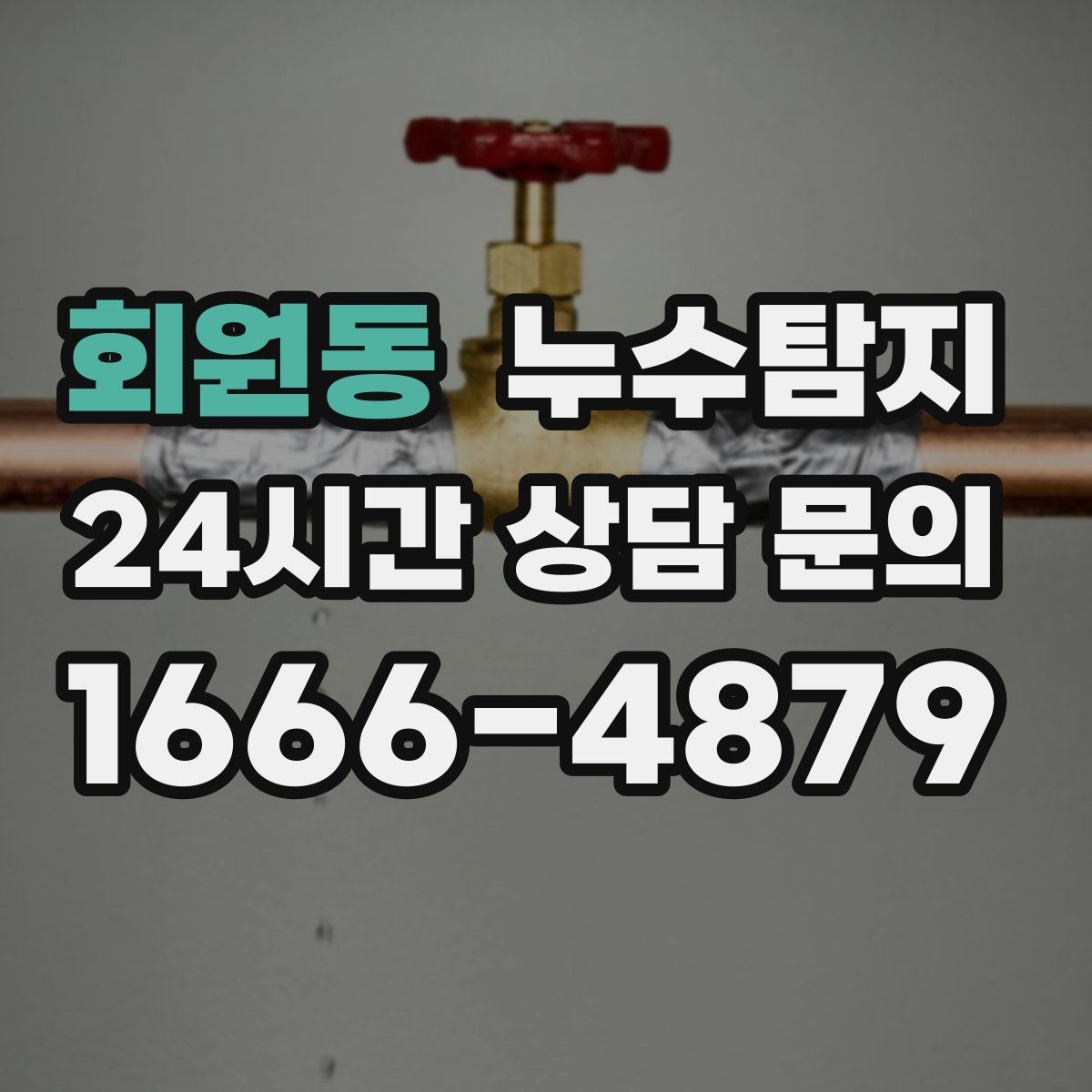 회원동 누수탐지 학교 시설 안전 점검 이야기