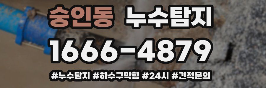 누수닥터 누수탐지