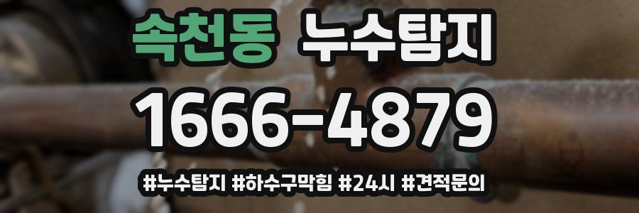 누수닥터 누수탐지