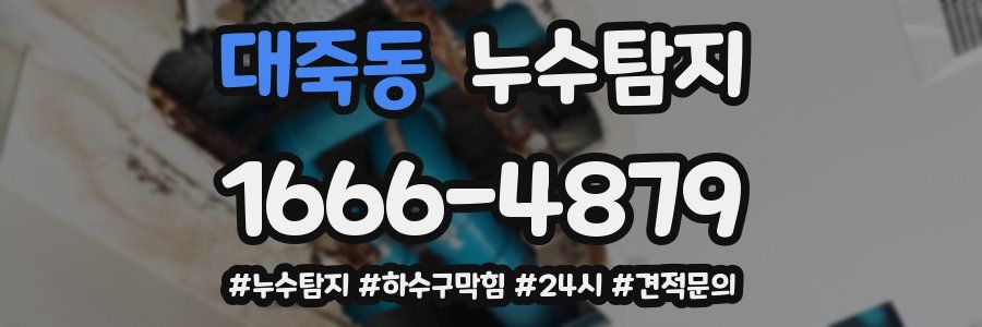 누수닥터 누수탐지