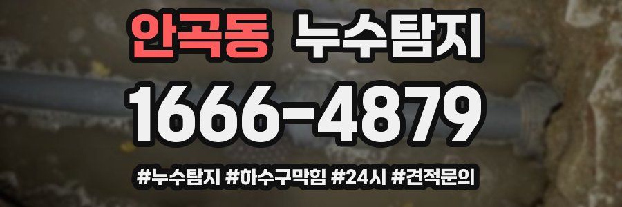 누수닥터 누수탐지