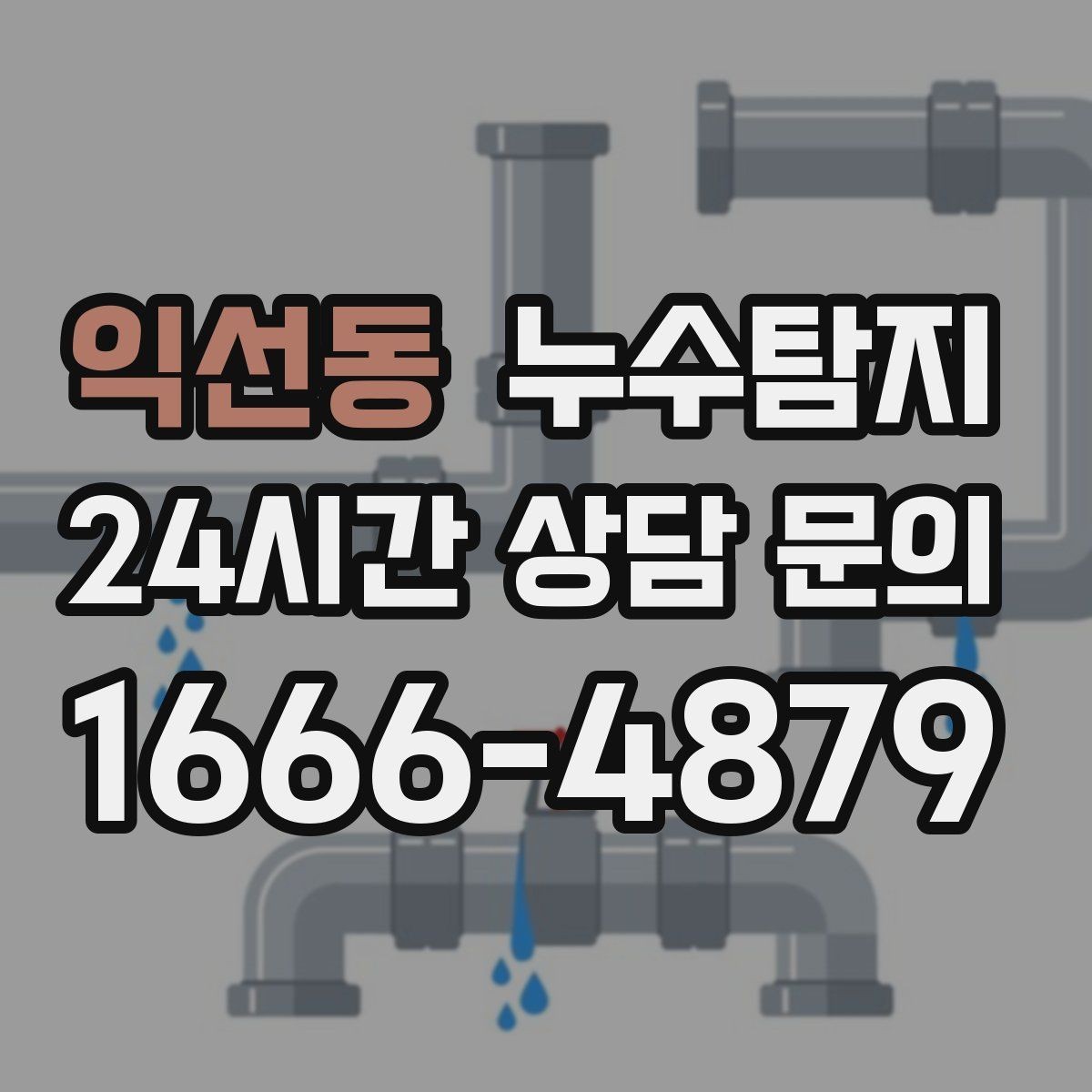 익선동 누수탐지 옥상 배수 드레인 청결 유지