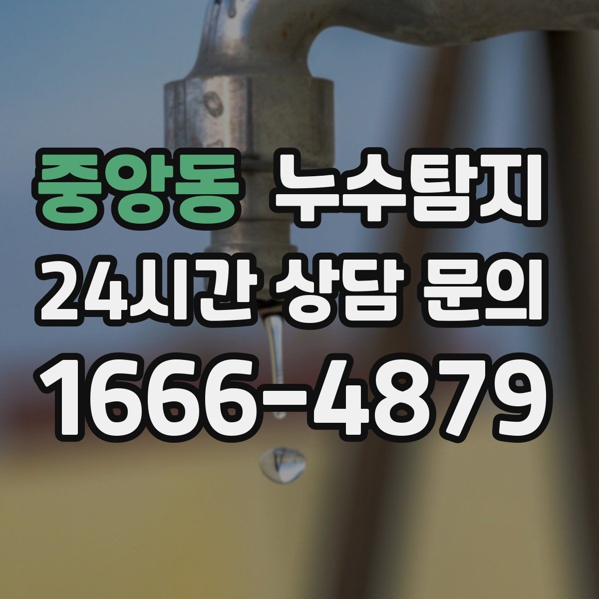 중앙동 누수탐지 건조기 배기 주변 결로 구분을 위해