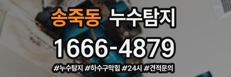 누수닥터 누수탐지