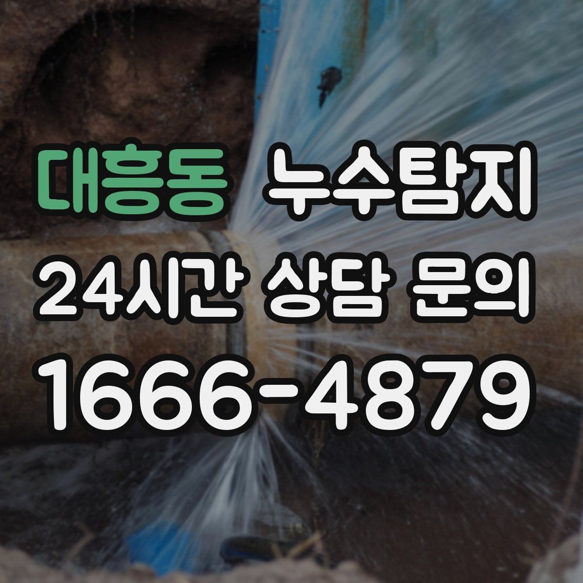 대흥동 누수탐지 보일러 드레인 누수 확인