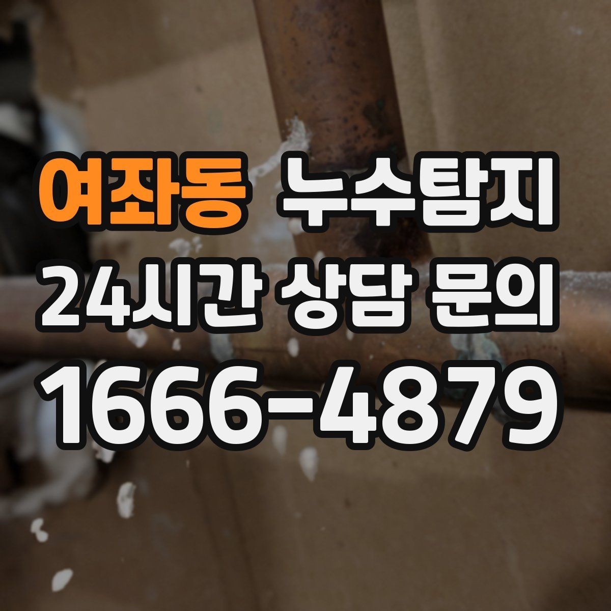 여좌동 누수탐지 옥상 배수 드레인 청결 유지