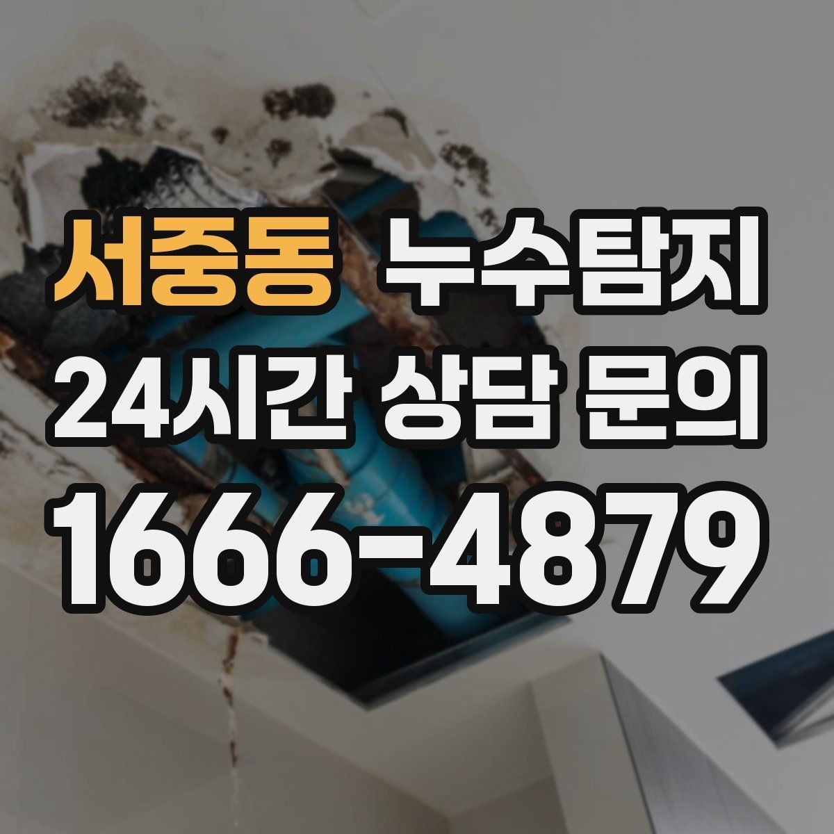서중동 누수탐지 드레스룸 곰팡이 청결 회복