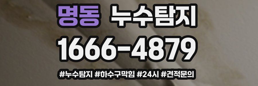 누수닥터 누수탐지