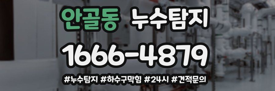 누수닥터 누수탐지