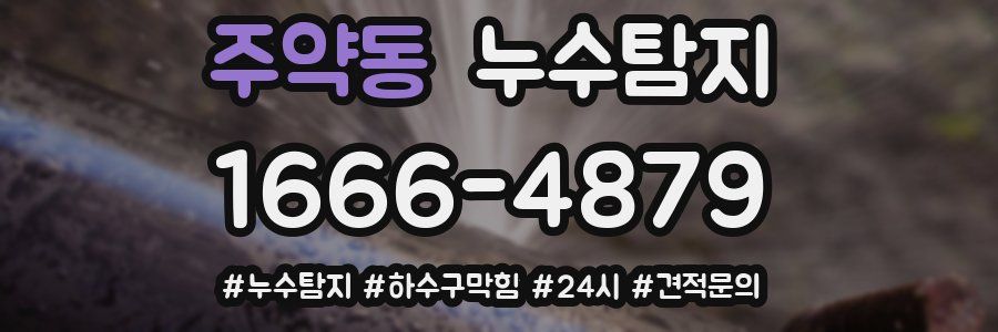 누수닥터 누수탐지