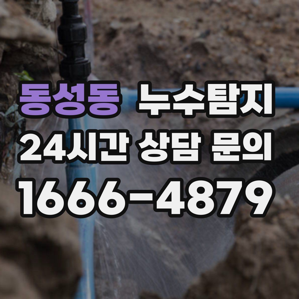 동성동 누수탐지 천장 얼룩 원인 추적