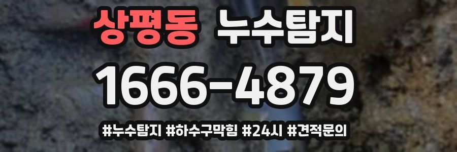 누수닥터 누수탐지