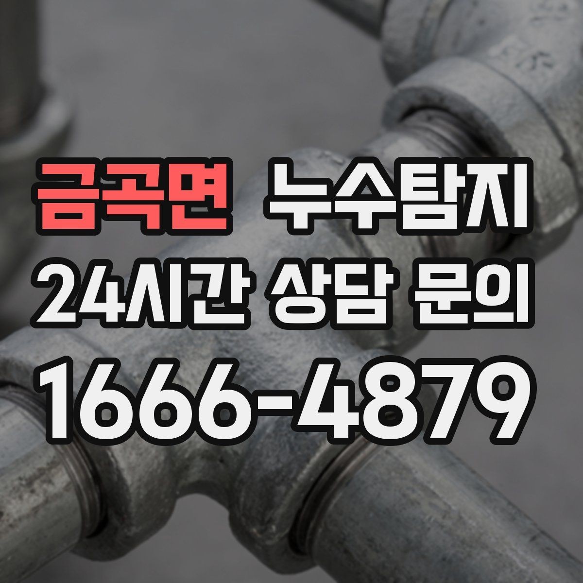 금곡면 누수탐지 학교 시설 점검 사례 공유