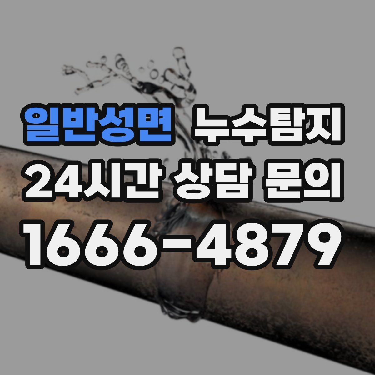일반성면 누수탐지 욕실 곰팡이 사라진 해결 과정
