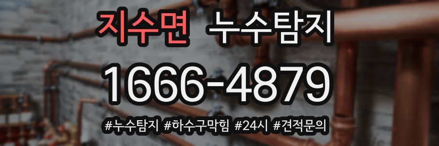 누수닥터 누수탐지