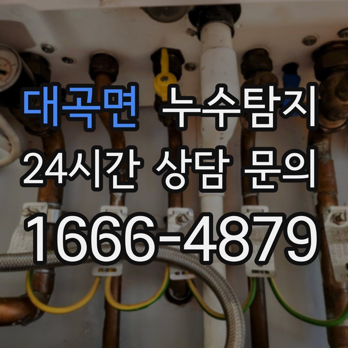 대곡면 누수탐지 외벽 침투수 초기 대응 기록