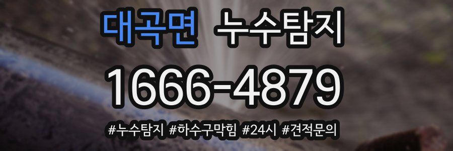 누수닥터 누수탐지