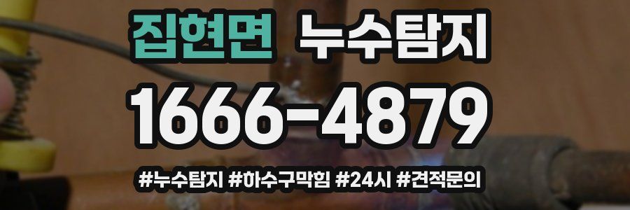 누수닥터 누수탐지