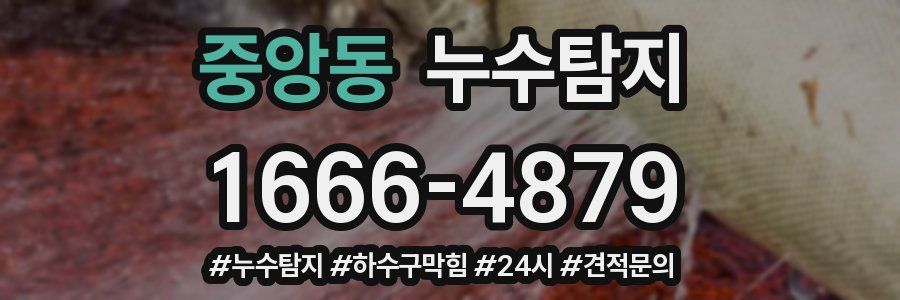 누수닥터 누수탐지