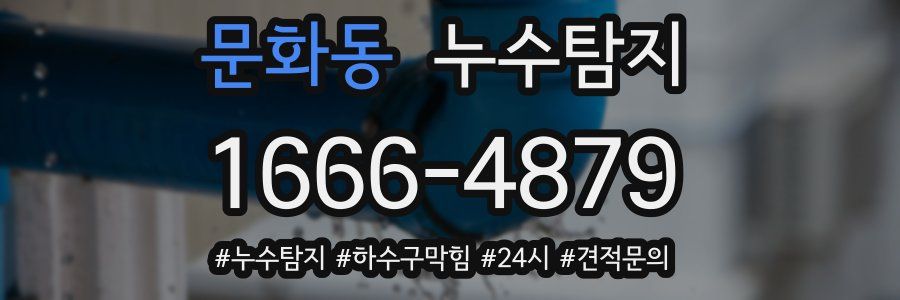 누수닥터 누수탐지
