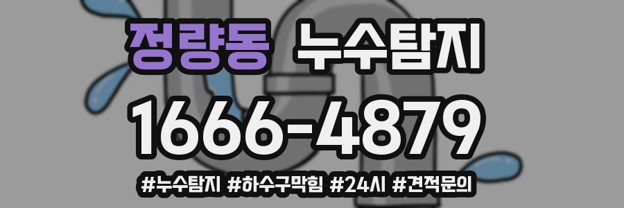 누수닥터 누수탐지