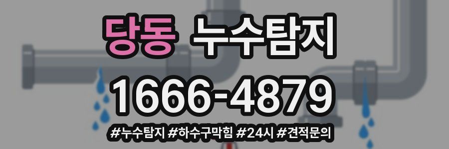누수닥터 누수탐지