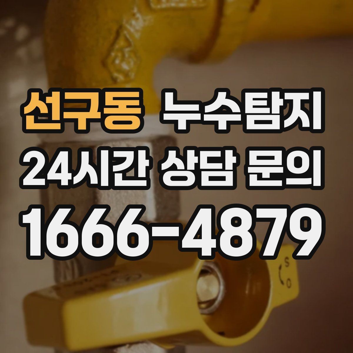선구동 누수탐지 보고서 읽는 법 쉬운 해설