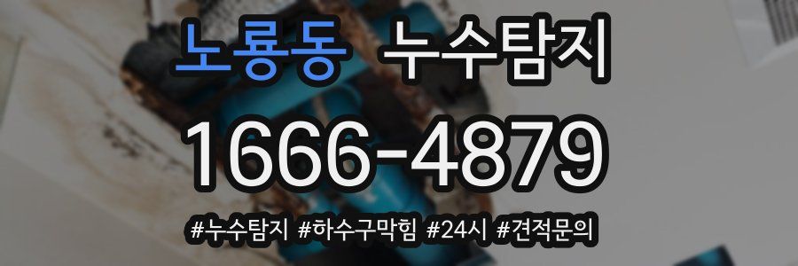누수닥터 누수탐지
