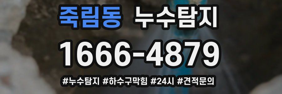 누수닥터 누수탐지