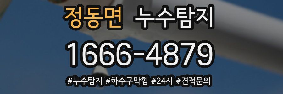 누수닥터 누수탐지