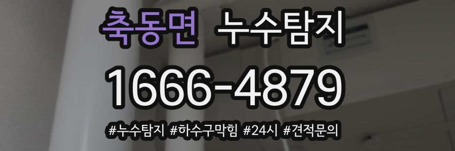 누수닥터 누수탐지